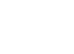 Partnership